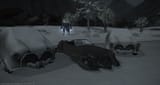 ffxiv_12042021_001606_147