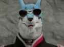 cruger too cool_thumb.jpg