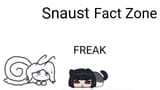 Snaust Fact