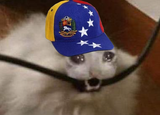 csm internet