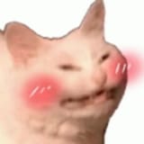 0fd0ef3665d7ce248c6d7713014fe40d