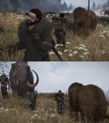 baby mammoth