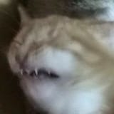 1708746530245492