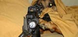 dog_with_a_gun-790x377