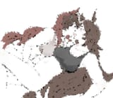 1726315355635508