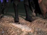 2025-08-03 10-53-54 True Eorzea ffxiv_dx11