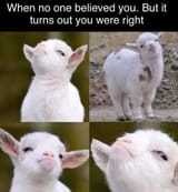 234522