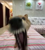 1754225269242097