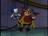a giant rat