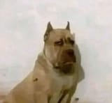GnPL6oQW8AAXyWj