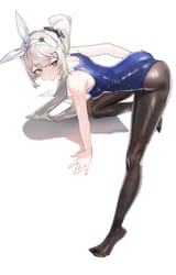 sharkry swimsuit pantyhose