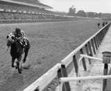 Secretariat