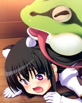 cats &amp; frogs