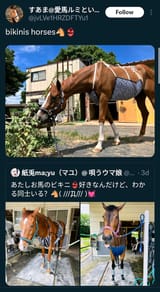 lightshot_1754244878