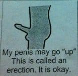 penis may go up