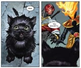 that&#039;s it! the cat&#039;s gonna get it