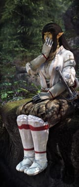 SkyrimSE 2025-06-30 01-33-15
