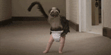 puppymonkeybaby
