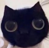 1712063451155992