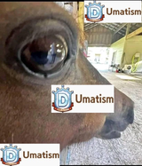 4894654654