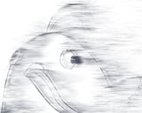 1744738042410845