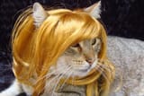 stacy pussy