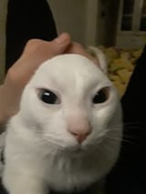 1656791252979