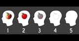 AppleVisualizationScale