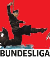 das bundesliga