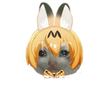 crying cat serval