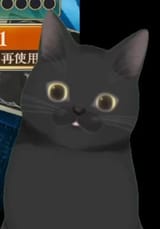 catt