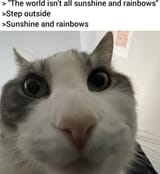 1724779196383823