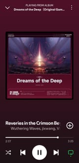 Screenshot_20250803_171819_Spotify