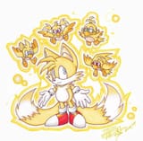 74d6a0c2f76758a298f4a65af9c27f19--adoption-center-the-hedgehog
