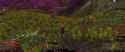 1737372125832246_thumb.jpg