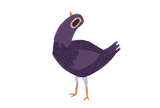 bird