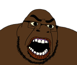 1752529992053t