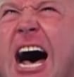 alexJones
