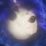 GxOTptAXUAIOt-e