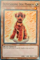 Outstanding_Dog_Marron