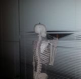 mrskele