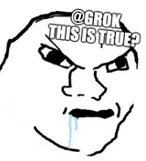 grok