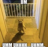 GlycvrXbsAAUhVe