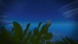 WoWScrnShot_080325_235543