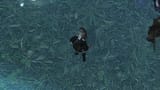 ffxiv_dx11_VKv9GWq7NG