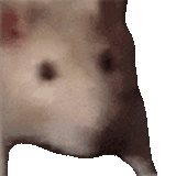 1737247114280755