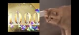 Screenshot_2025-08-04-07-31-25-231_app.revanced.android.youtube
