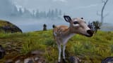 deer
