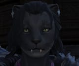 Screenshot 2025-08-04 022441