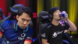 goats
